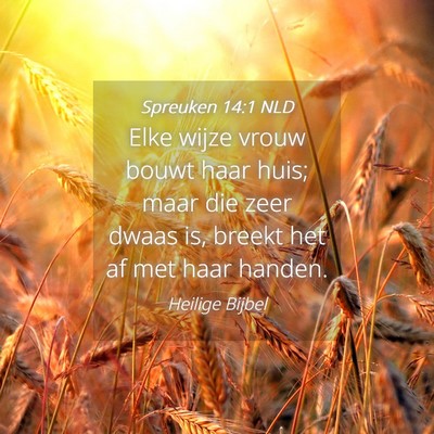 Picture 04 - Spreuken 14:1 NLD - Elke wijze vrouw bouwt haar huis; maar die zeer - Bible Verse Picture