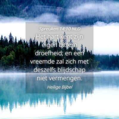 Picture 04 - Spreuken 14:10 NLD - Het hart kent zijn eigen bittere droefheid; en - Bible Verse Picture