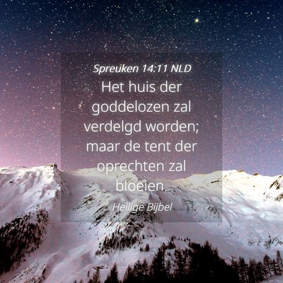 Picture 04 - Spreuken 14:11 NLD - Het huis der goddelozen zal verdelgd worden; maar - Bible Verse Picture