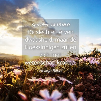 Picture 04 - Spreuken 14:18 NLD - De slechten erven dwaasheid; maar de - Bible Verse Picture