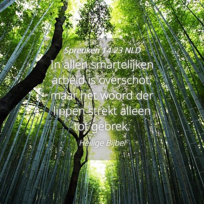 Picture 04 - Spreuken 14:23 NLD - In allen smartelijken arbeid is overschot; maar - Bible Verse Picture