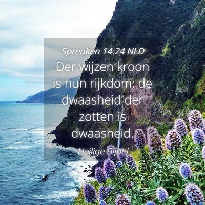 Picture 04 - Spreuken 14:24 NLD - Der wijzen kroon is hun rijkdom; de dwaasheid der - Bible Verse Picture