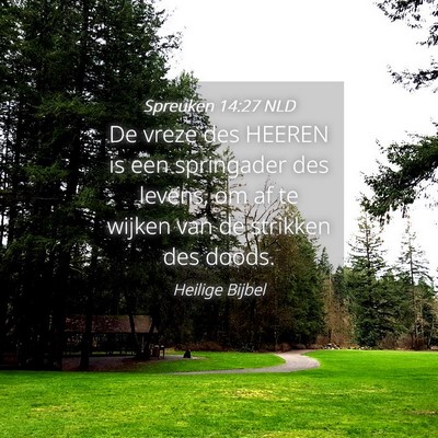 Picture 04 - Spreuken 14:27 NLD - De vreze des HEEREN is een springader des levens, - Bible Verse Picture