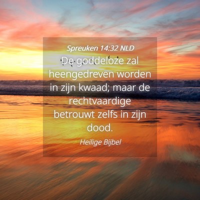 Picture 04 - Spreuken 14:32 NLD - De goddeloze zal heengedreven worden in zijn - Bible Verse Picture