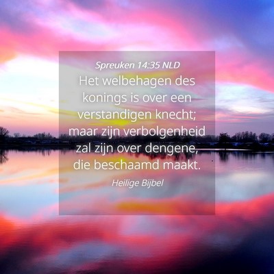Picture 04 - Spreuken 14:35 NLD - Het welbehagen des konings is over een - Bible Verse Picture