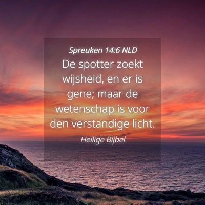 Picture 04 - Spreuken 14:6 NLD - De spotter zoekt wijsheid, en er is gene; maar de - Bible Verse Picture