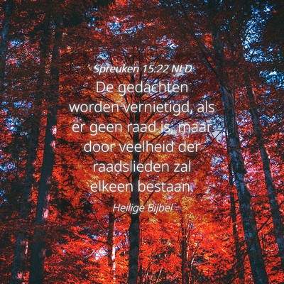 Picture 04 - Spreuken 15:22 NLD - De gedachten worden vernietigd, als er geen raad - Bible Verse Picture