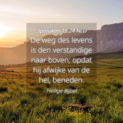 Picture 04 - Spreuken 15:24 NLD - De weg des levens is den verstandige naar boven; - Bible Verse Picture