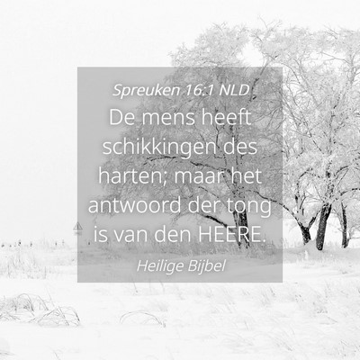 Picture 04 - Spreuken 16:1 NLD - De mens heeft schikkingen des harten; maar het - Bible Verse Picture