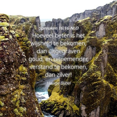 Picture 04 - Spreuken 16:16 NLD - Hoeveel beter is het wijsheid te bekomen, dan - Bible Verse Picture
