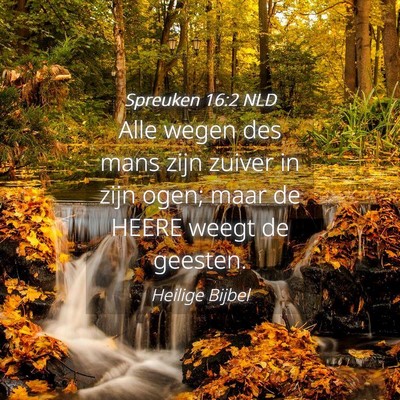 Picture 04 - Spreuken 16:2 NLD - Alle wegen des mans zijn zuiver in zijn ogen; - Bible Verse Picture