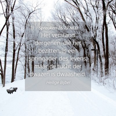 Picture 04 - Spreuken 16:22 NLD - Het verstand dergenen, die het bezitten, is een - Bible Verse Picture