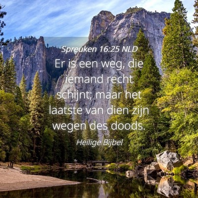 Picture 04 - Spreuken 16:25 NLD - Er is een weg, die iemand recht schijnt; maar het - Bible Verse Picture