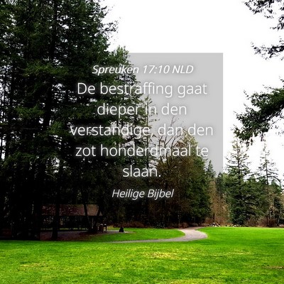 Picture 04 - Spreuken 17:10 NLD - De bestraffing gaat dieper in den verstandige, - Bible Verse Picture