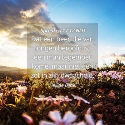Picture 04 - Spreuken 17:12 NLD - Dat een beer, die van jongen beroofd is, een man - Bible Verse Picture