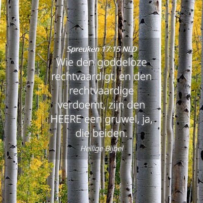 Picture 04 - Spreuken 17:15 NLD - Wie den goddeloze rechtvaardigt, en den - Bible Verse Picture