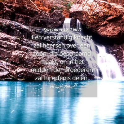 Picture 04 - Spreuken 17:2 NLD - Een verstandig knecht zal heersen over een zoon, - Bible Verse Picture