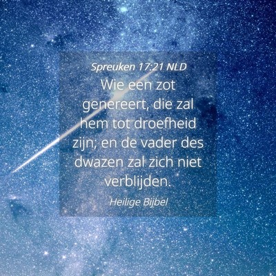 Picture 04 - Spreuken 17:21 NLD - Wie een zot genereert, die zal hem tot droefheid - Bible Verse Picture