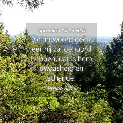 Picture 04 - Spreuken 18:13 NLD - Die antwoord geeft, eer hij zal gehoord hebben, - Bible Verse Picture