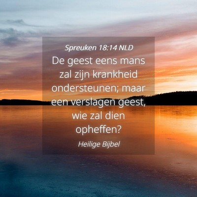 Picture 04 - Spreuken 18:14 NLD - De geest eens mans zal zijn krankheid - Bible Verse Picture