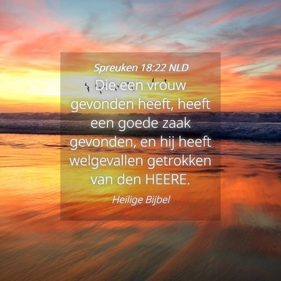 Picture 04 - Spreuken 18:22 NLD - Die een vrouw gevonden heeft, heeft een goede - Bible Verse Picture