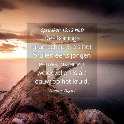 Picture 04 - Spreuken 19:12 NLD - Des konings gramschap is als het brullen eens - Bible Verse Picture