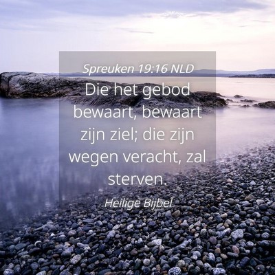 Picture 04 - Spreuken 19:16 NLD - Die het gebod bewaart, bewaart zijn ziel; die - Bible Verse Picture