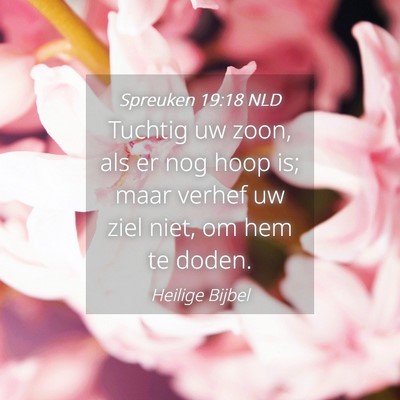 Picture 04 - Spreuken 19:18 NLD - Tuchtig uw zoon, als er nog hoop is; maar verhef - Bible Verse Picture