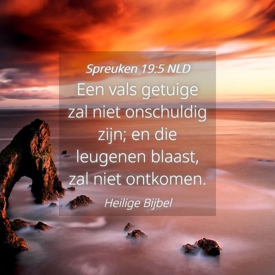 Picture 04 - Spreuken 19:5 NLD - Een vals getuige zal niet onschuldig zijn; en die - Bible Verse Picture