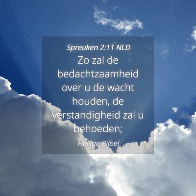Picture 04 - Spreuken 2:11 NLD - Zo zal de bedachtzaamheid over u de wacht houden, - Bible Verse Picture