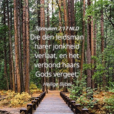 Picture 04 - Spreuken 2:17 NLD - Die den leidsman harer jonkheid verlaat, en het - Bible Verse Picture