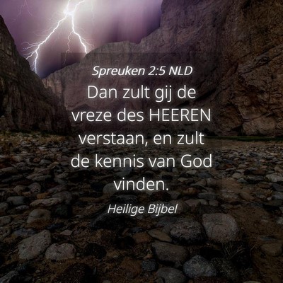 Picture 04 - Spreuken 2:5 NLD - Dan zult gij de vreze des HEEREN verstaan, en - Bible Verse Picture