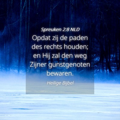 Picture 04 - Spreuken 2:8 NLD - Opdat zij de paden des rechts houden; en Hij zal - Bible Verse Picture