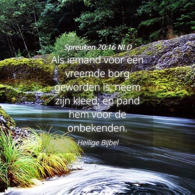 Picture 04 - Spreuken 20:16 NLD - Als iemand voor een vreemde borg geworden is, - Bible Verse Picture