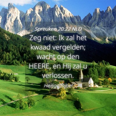 Picture 04 - Spreuken 20:22 NLD - Zeg niet: Ik zal het kwaad vergelden; wacht op - Bible Verse Picture