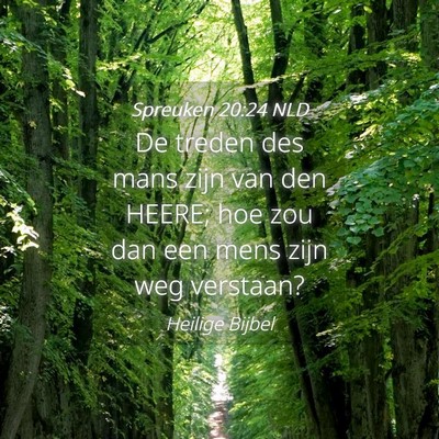 Picture 04 - Spreuken 20:24 NLD - De treden des mans zijn van den HEERE; hoe zou - Bible Verse Picture