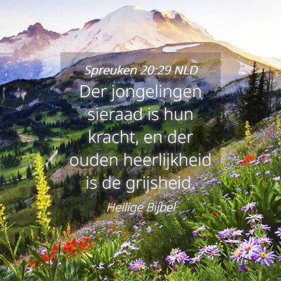 Picture 04 - Spreuken 20:29 NLD - Der jongelingen sieraad is hun kracht, en der - Bible Verse Picture