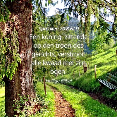 Picture 04 - Spreuken 20:8 NLD - Een koning, zittende op den troon des gerichts, - Bible Verse Picture
