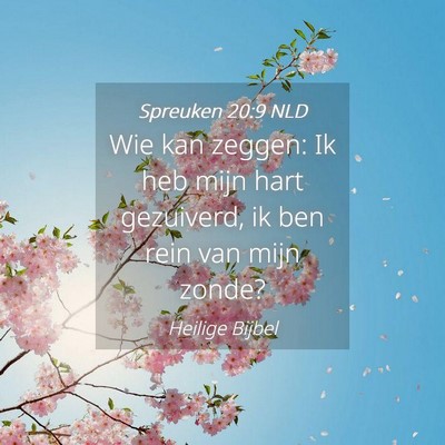 Picture 04 - Spreuken 20:9 NLD - Wie kan zeggen: Ik heb mijn hart gezuiverd, ik - Bible Verse Picture