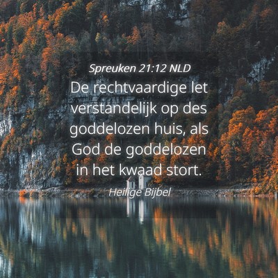 Picture 04 - Spreuken 21:12 NLD - De rechtvaardige let verstandelijk op des - Bible Verse Picture
