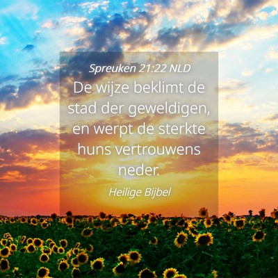 Picture 04 - Spreuken 21:22 NLD - De wijze beklimt de stad der geweldigen, en werpt - Bible Verse Picture
