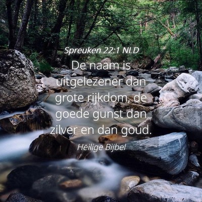 Picture 04 - Spreuken 22:1 NLD - De naam is uitgelezener dan grote rijkdom, de - Bible Verse Picture