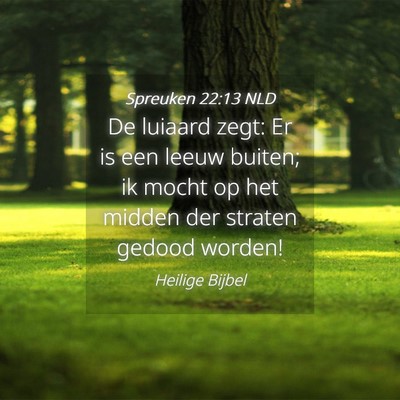 Picture 04 - Spreuken 22:13 NLD - De luiaard zegt: Er is een leeuw buiten; ik mocht - Bible Verse Picture