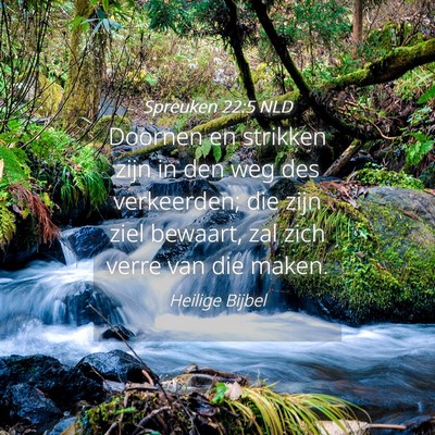 Picture 04 - Spreuken 22:5 NLD - Doornen en strikken zijn in den weg des - Bible Verse Picture