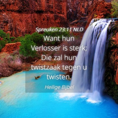 Picture 04 - Spreuken 23:11 NLD - Want hun Verlosser is sterk; Die zal hun - Bible Verse Picture