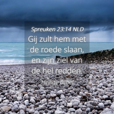 Picture 04 - Spreuken 23:14 NLD - Gij zult hem met de roede slaan, en zijn ziel van - Bible Verse Picture
