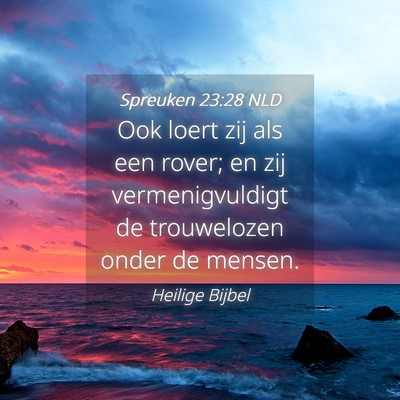 Picture 04 - Spreuken 23:28 NLD - Ook loert zij als een rover; en zij - Bible Verse Picture