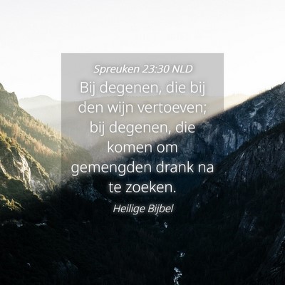 Picture 04 - Spreuken 23:30 NLD - Bij degenen, die bij den wijn vertoeven; bij - Bible Verse Picture