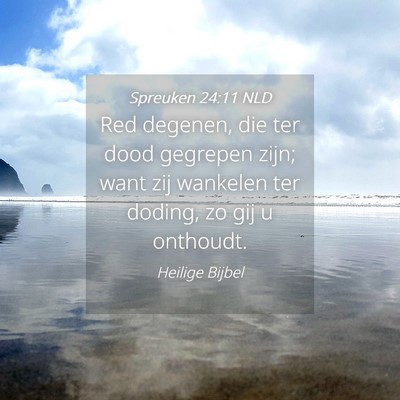Picture 04 - Spreuken 24:11 NLD - Red degenen, die ter dood gegrepen zijn; want zij - Bible Verse Picture