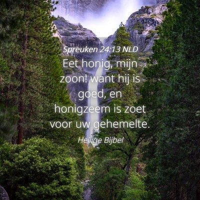 Picture 04 - Spreuken 24:13 NLD - Eet honig, mijn zoon! want hij is goed, en - Bible Verse Picture